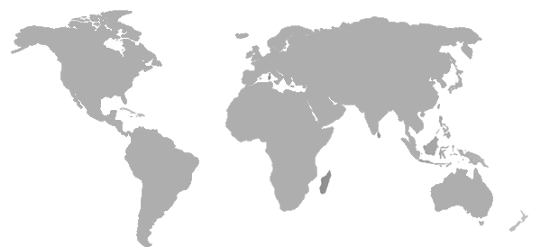 WebCreationStudio - World Map